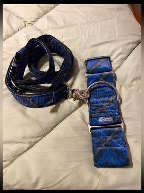 Two 2” martingale dog collars and 4’ leash.  14-18” neck. Greyhound or whippet
